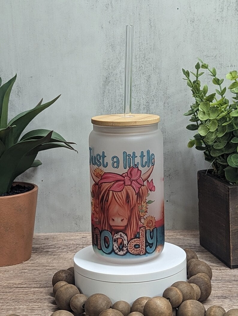 Libby Glass Can, Highland cow, 16oz Glass Can, Iced Coffee Can Cow Just a Little Moody Cup, Frosted Beer, Funny Moody Animal, Western Cup
