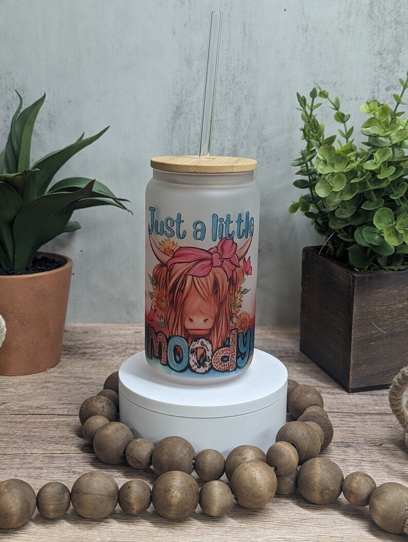 Libby Glass Can, Highland cow, 16oz Glass Can, Iced Coffee Can Cow Just a Little Moody Cup, Frosted Beer, Funny Moody Animal, Western Cup